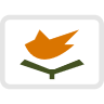 cy flag