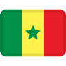 sn flag